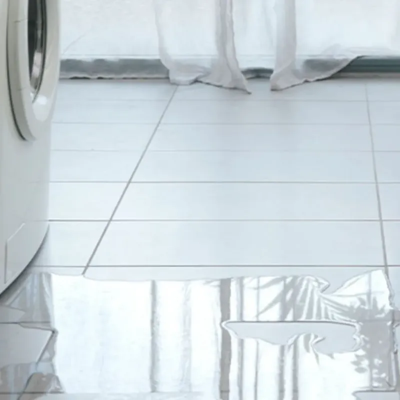 Appliance Leak Cleanup in Wayne County, MS