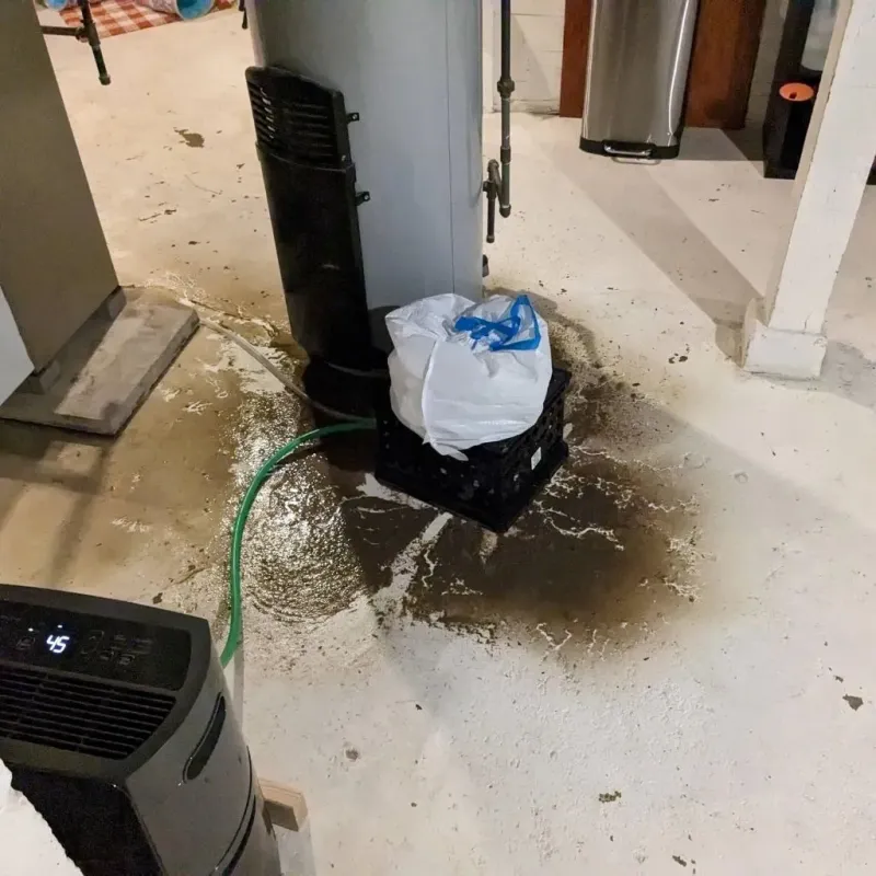 Sewage Backup Cleanup Service in Wayne County, MS